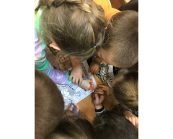 n8gLz20Y9Vk6mZ3hquXCk2KKc7TkG4T3x8j7Lau8Tzg5oXy5dlMxkWSmFDkrOCpr7Az5iwXiHu7AL0IMFZwrHNqK