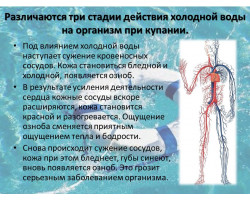 Слайд12