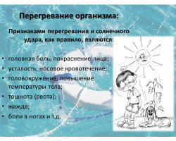 Слайд16