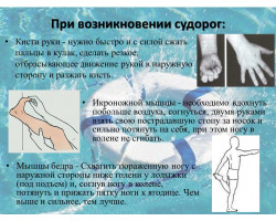 Слайд21